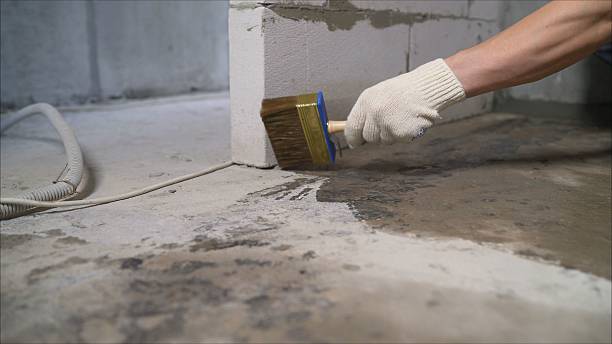 SJ Waterproofing Pros Waterproofing coverage map for Rockford, MI and surrounding area